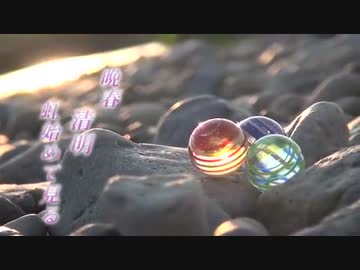 【多摩川】　自然見聞録 ～野草の回～　その１