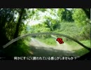 猪ノ子峠に行きました(おまけ)