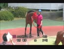 2014.5.21 園田競馬6R スマイルムービー出走