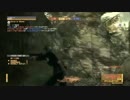 MGO 海外17