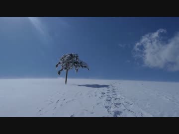 【雪原】冬のビーナスライン【美ヶ原、霧ヶ峰】