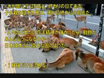 【韓国】 日本の鹿に韓国人が驚嘆！