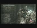 【ワンダと巨像】力つづくまで【プレイ動画】part07