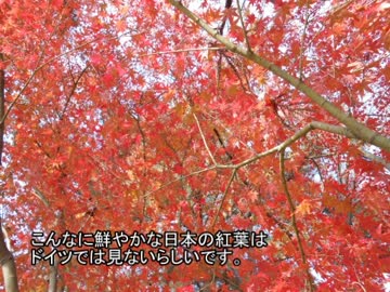 旅仲間に会いに行く旅～めぐりあい奈良～Part.3/3