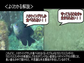 ゆっくり動物雑学「農業を行う…」