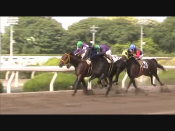 【現地撮影】園田競馬 5月21日 第８Ｒ エアマデレーン