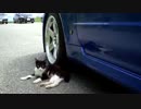 Ｒフェチの西播実況車載動画【BNR34】その６