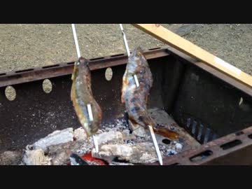 田舎で遊ぼうpart4【VAPS農園とアマゴ】