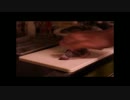 カツオのタタキを作るのを見てるだけ
