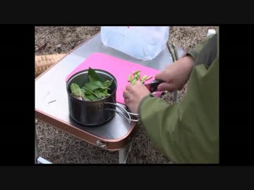 キツネの野宿　天間林　その１０