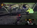 【MH4】シャガルマガラ　Lv100ソロ弓　04'51"86