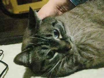 ジャンくんを持ち上げる試みスタート！