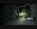 【心霊、廃墟】ぶらり一人旅　第57回　大阪府　一〇旅館