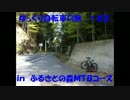 【MTBで】ゆっくり自転車の旅【林道コースを走ろう】part03