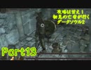 【実況】攻略は甘え！初見の亡者が行くダークソウル2【DarkSoulsII】part13