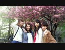 北海道で　桜チラリ　踊ってみた