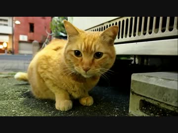 ［2014私的四国巡航記］ -Chapter 1-