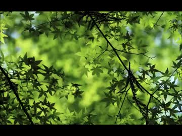 【睡眠】　癒しのクラシック　【作業用ＢＧＭ】　Ⅰ