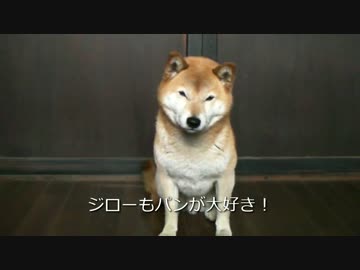 ロケットストーブ（コンロ型）柴犬ジロー