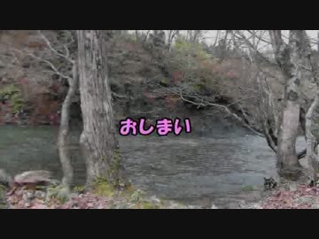 キツネの野宿　天間林　その１１　ラスト　