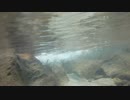渓流釣りがしたくなって・・・魚止めまで行ってきた編