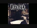 CarnifexのLie To My Faceを弾いた