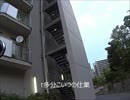 カラス被害