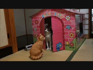 ネコの置物と猫ミルキー