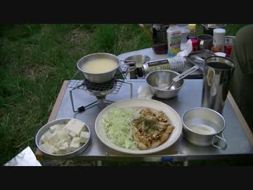 【メタボ】油淋鶏【クッキング】