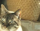 ジャンくんに起こされるのでパパは寝不足です