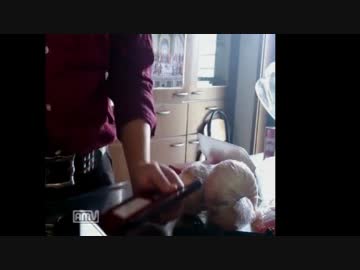 ヘタリア好きがDSソフトでタイの鶏ひき肉のバジルいため