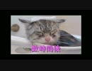 【ダークソウル2】盾？HP振り？覇者には不要です。【初見実況】41-2