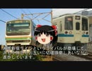 【ゆっくり解説】小田急VS湘南新宿ライン【ライバル対決】