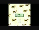 BEAGLE - Suit of Armour