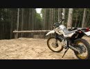 セローと共に　初！林道ツーリング