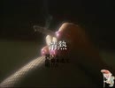 爺カラ　情熱　midiGS