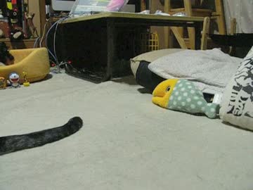 留守番ジャンくんの「おかえり」の仕方