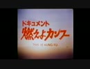 燃えよ！カンフー1