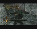 ダークソウル2　致命浮遊引力バグでロザベナスルー検証