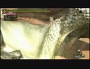 【MH3GHD】実況プレイ_G級part131_ナリオ