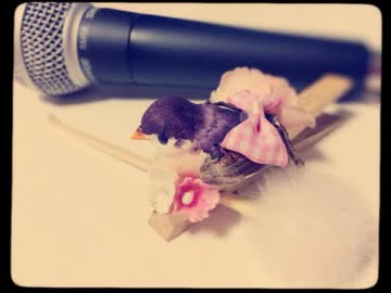 ささやきみみかき～耳かき棒編～