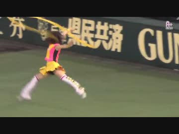 【プロ野球に行ってみた 2】交流戦　壮絶名勝負　阪神　対　西武