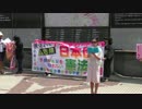 【2014/5/29】原発よりも危険！子供の未来を守れない日本国憲法1