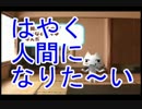 【実況】トロを調教する休日　一日目前編【トロと休日】