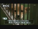 イヌネコ殺処分数が大幅減