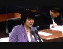 「移民法成立」法務委員会の審議（ノーカット版その１）平成26年５月28日