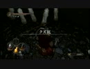 【オフラインな】ダークソウル2初見実況プレイ 第75話【DARK SOULS Ⅱ】