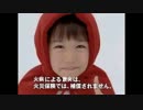 【南トンスルランド】ウリたち姦国はなぜ放火王国になったのか
