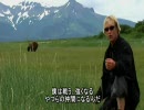 Grizzly Man 1/10