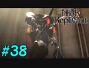 【実況】兄妹愛溢れるゲームをプレイ【ニーアレプリカント】part38